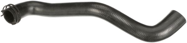 RAPRO 16681 | Radyatör Üst Hortumu Ford 2.0Tdcı Focus III-C-Max II
