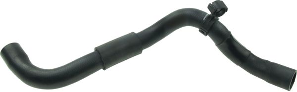 RAPRO 25461 | Radyatör Alt Hortumu (VW Golf)