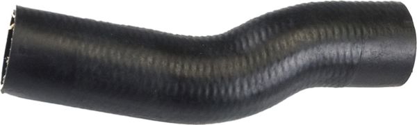 RAPRO 39105 | Termostat Hortumu Jaguar S-Type 3.0 V6 2000- >