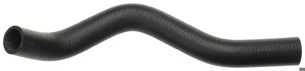 RAPRO 40044 | Radyatör Hortumu Alt 06-Civic 1.8İ 16V