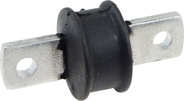 RAPRO 51720 | Stabilizatör Cubugu Burcu (Audi: A4 95-04)