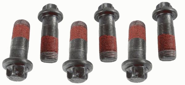 SACHS 1874000039 | Volan Civata Takımı Ford