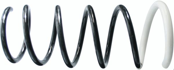 SACHS 994631 | Helezon Yayı Arka