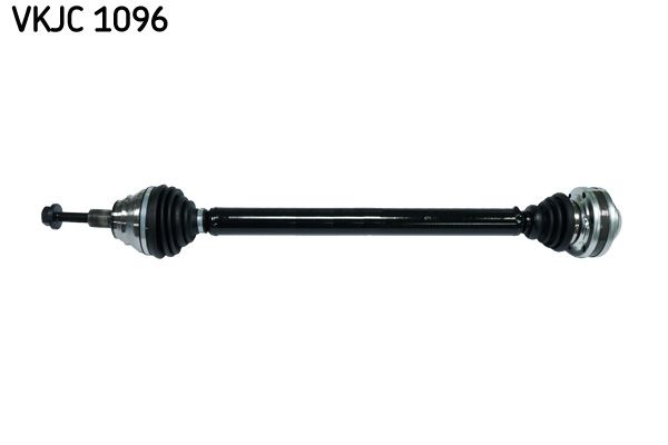 SKF VKJC1096 | Aks Komple