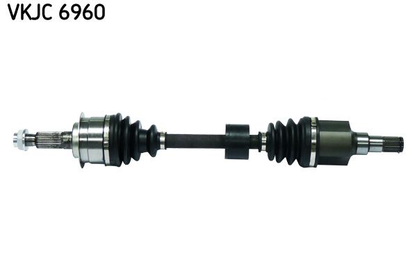 SKF VKJC6960 | Aks Komple