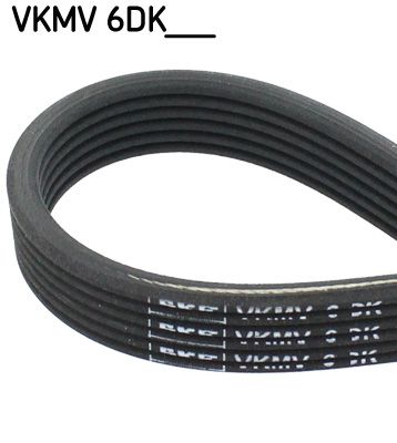 SKF VKMV6DK1195 | Kanallı Kayış