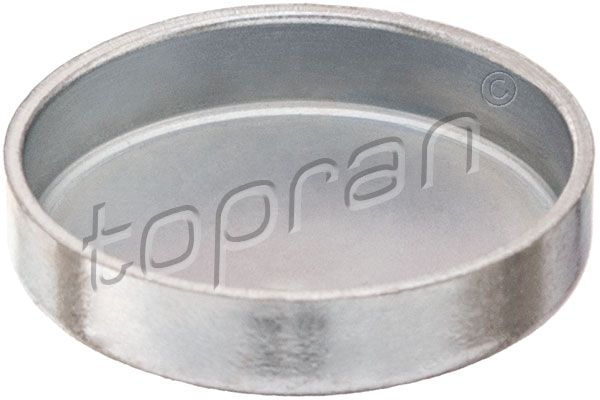 TOPRAN 203183 | Blok Su Tapası 22mm | 10 Adet