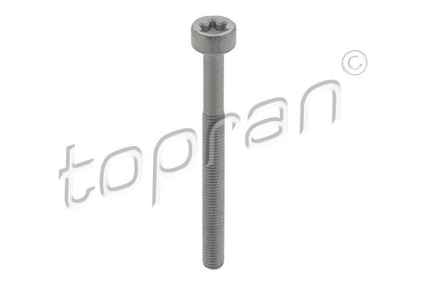 TOPRAN 410287 | Enjektör Cıvatası Mercedes Om651-Om654-Om656 | 10 Adet