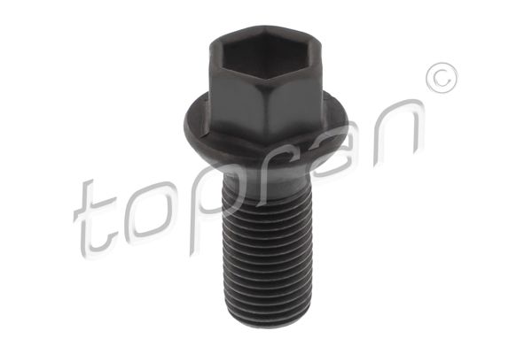 TOPRAN 411099001 | Jant Bıjonu Mercedes