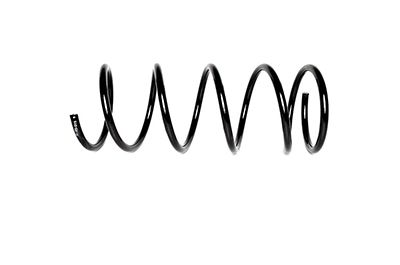 BSG 30-305-019 | Helezon Yayı Ön