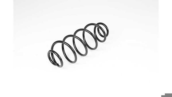 BSG 70-305-005 | Helezon Yayı Ön