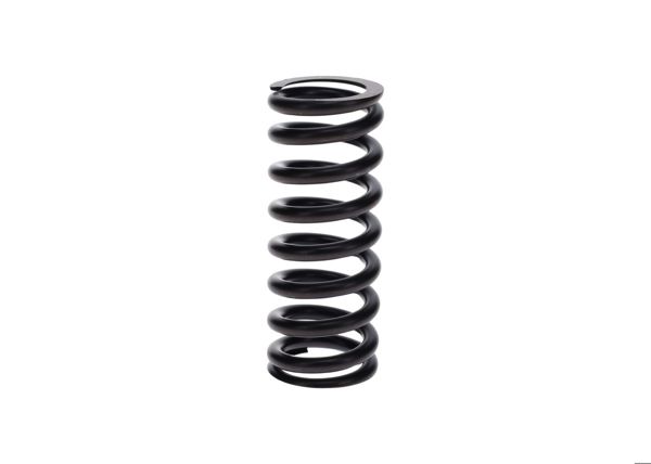 BOSCH 2414619020 | Basınç Yayı