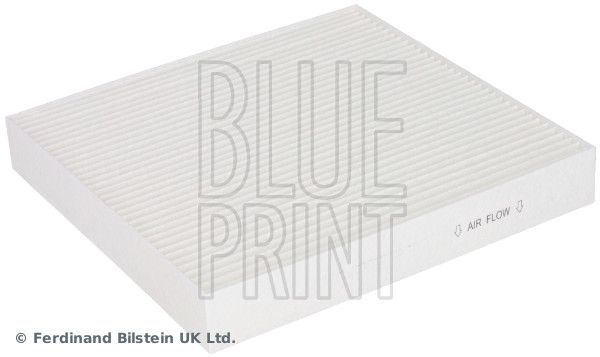 BLUEPRINT ADBP250116 | Blue Prınt