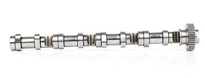 BSG 90-108-009 | Eksantrik Mili Caddy-Polo-Golf6-Passat-Crafter-T6-A3-T5 Caga-Cagb-Caha-Cayb-Cayc-Cbaa-Cbab-Cffa-Cffb-Ckub-Caab 1.6 TDI-2.0 TDI 10 -