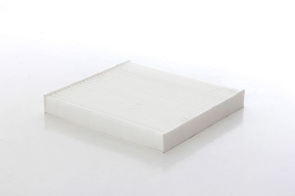 BSG 35-145-005 | Polen Filtresi .