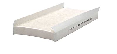 BSG 30-145-003 | Polen Filtresi (Tam T16n619 Fcs) Karbonsuz