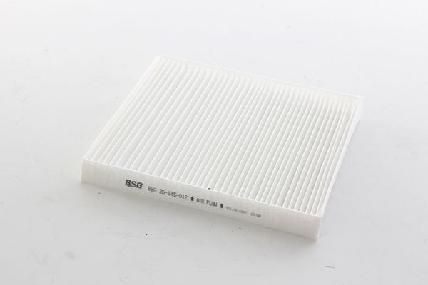 BSG 25-145-012 | Polen Filtresi Chrysler-Sebrıng / Freemont / Dodoge / Jeep Bm 07 -