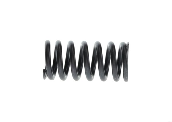 BOSCH 2414619021 | Basınç Yayı