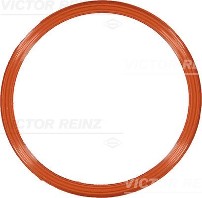VİCTOR REİNZ 71-10829-00 | Emme Manifold Contası VW Audi