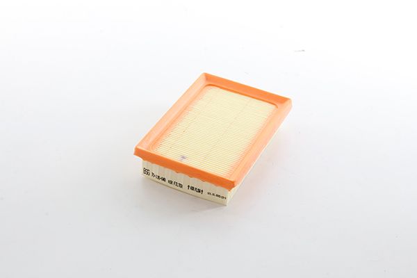 BSG 70-135-040 | Hava Filtresi