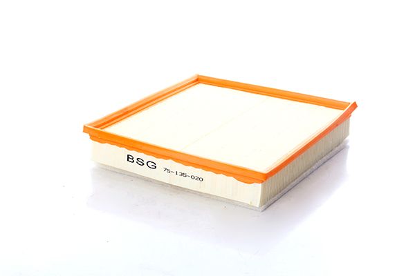 BSG 75-135-020 | Hava Filtresi