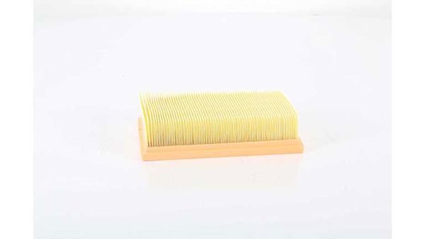 BSG 75-135-022 | Hava Filtresi