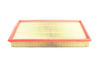 BSG 90-135-001 | Hava Filtresi E301l / Lx684