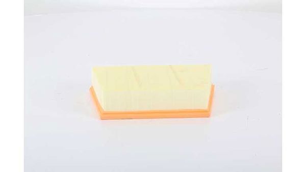 BSG 15-135-024 | Hava Filtresi