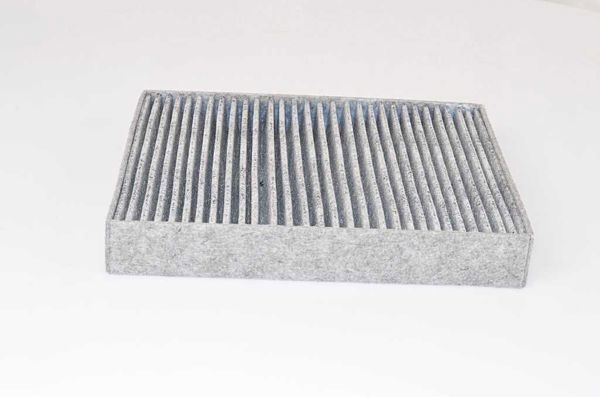 BSG 90-145-023 | Polen Filtresi E2980lc / Lak855 (Karbonlu)