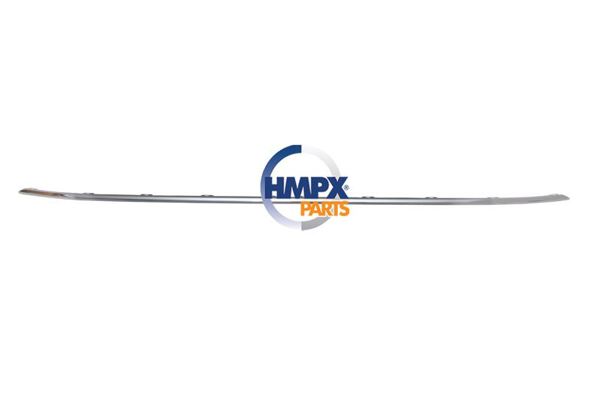 HMPX PARTS 5NA853101K 2ZZ | Ön Tampon Süs Çıtası Orta Tiguan 21 > R-Line