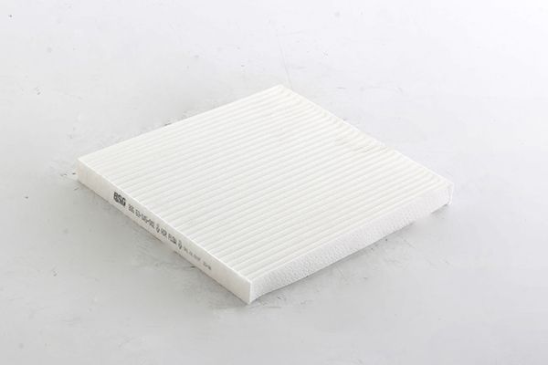 BSG 63-145-002 | Polen Filtresi