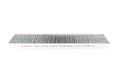 BSG 30-145-014 | Polen Filtresi (Karbonsuz) / Tamt16n619ymn