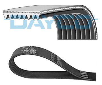 DAYCO 8PK1260HD | Kanallı V Kayışı