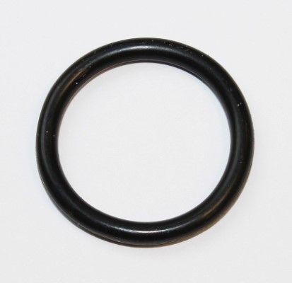 ELRING 255.550 | O-Ring M272 / M642