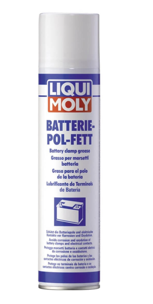 LIQUI MOLY Akü Gres Spreyi 300 ml (3141)