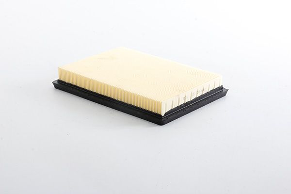 BSG 35-135-003 | Hava Filtresi Soft Tip