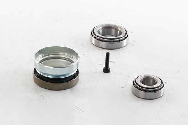 BSG 65-605-023 | Teker Rulmanı Ön Poryasız Takım