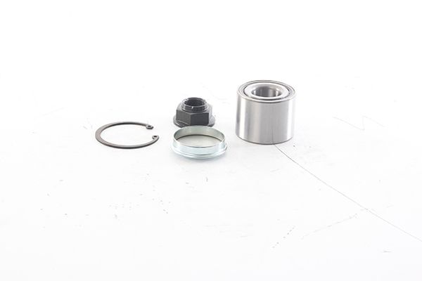 BSG 75-605-004 | Porya Rulmanı Arka