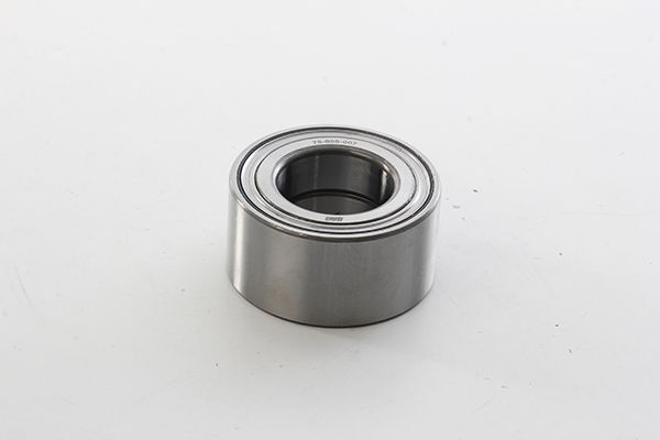 BSG 75-605-007 | Porya Rulmanı Arka