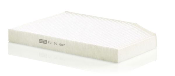 MANN CU30007 | Polen Filtresi BMW B46 47 48 57 58 18 -