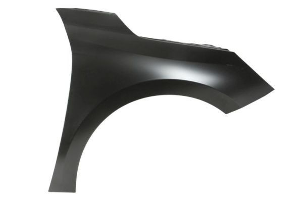 TONGYANG 9829283180 | Ön Çamurluk Sağ Corsa.F