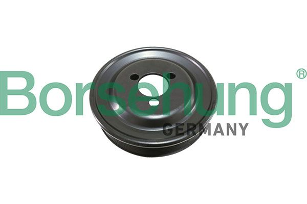 BORSEHUNG B12081 | Su Pompa Kasnağı Golf Jetta Passat Jetta Toledo Octavia Clra Cfna FSI Blf Bag Bl