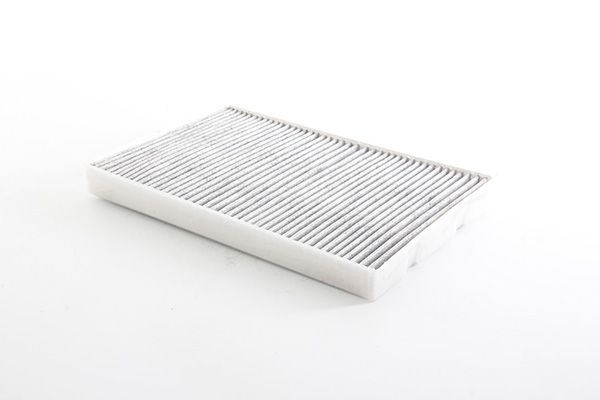 BSG 60-145-038 | Polen Filtresi Karbonlu