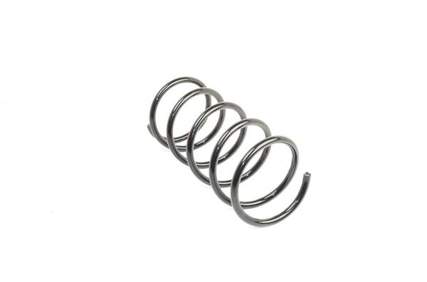 BSG 70-305-002 | Helezon Yayı Ön