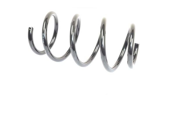 BSG 70-305-006 | Helezon Yayı Ön