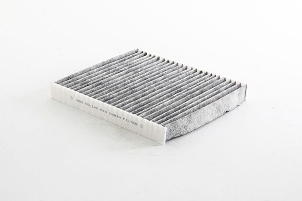 BSG 90-145-030 | Polen Filtresi E4981lc (Karbonlu)