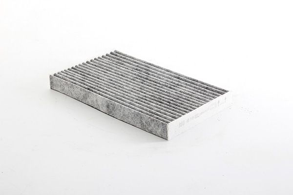 BSG 65-145-020 | Polen Filtresi Crossland X C3 Aircross (A88) Bm 17 -