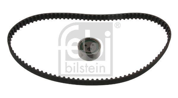 FEBI BILSTEIN 11157 | Eksantrik Rulman Kiti (Triger Seti) R19 Megane Scenic Clio Express 1,6I / 1.6 / 1.4 K7m / E7j