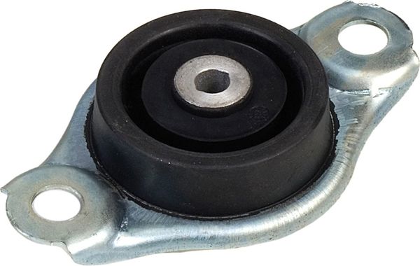 RAPRO R52165 | Motor Takozu Arka Fiat 500 07 >