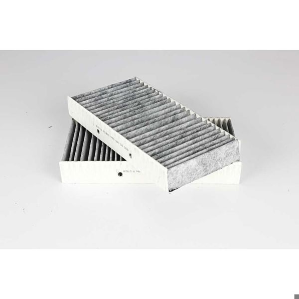 BSG 60-145-026 | Polen Filtresi 166 Ml-Gl-Gle Bm 2011 -